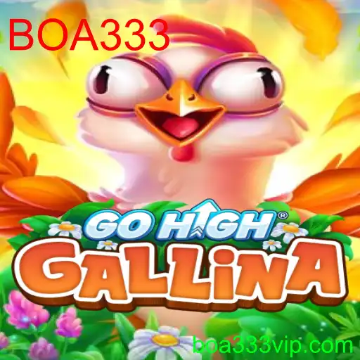 GoHighGallina